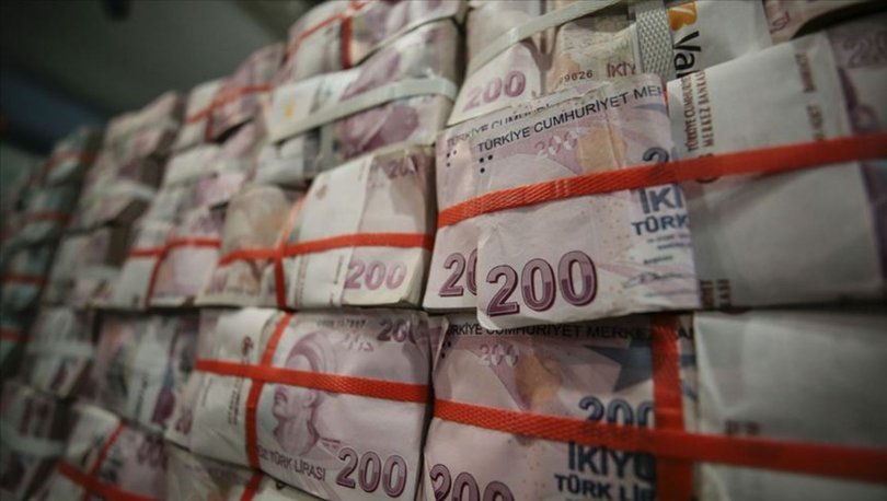 Hazine 4,8 milyar lira borçlandı