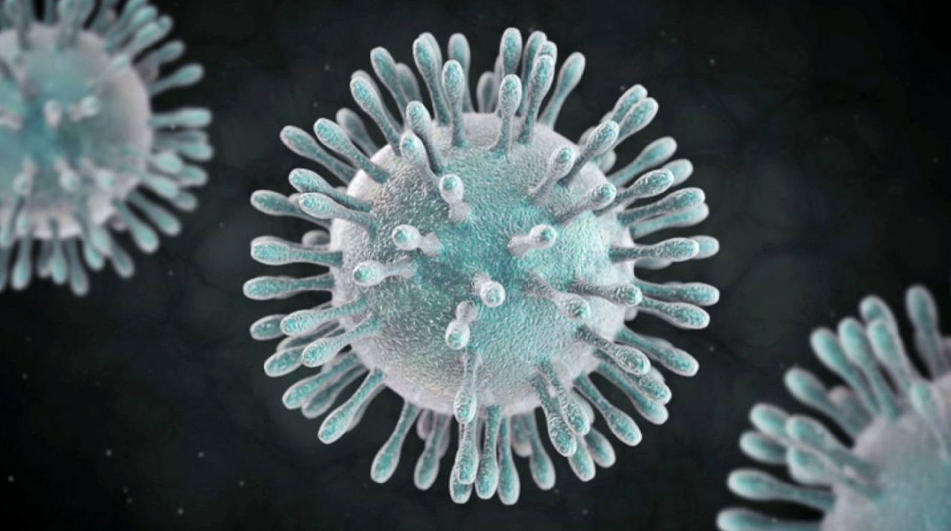 10 коронавируса. вирус covid-19. вирус карона коронавирус. коронавирус covid-19. 10 коронавируса.