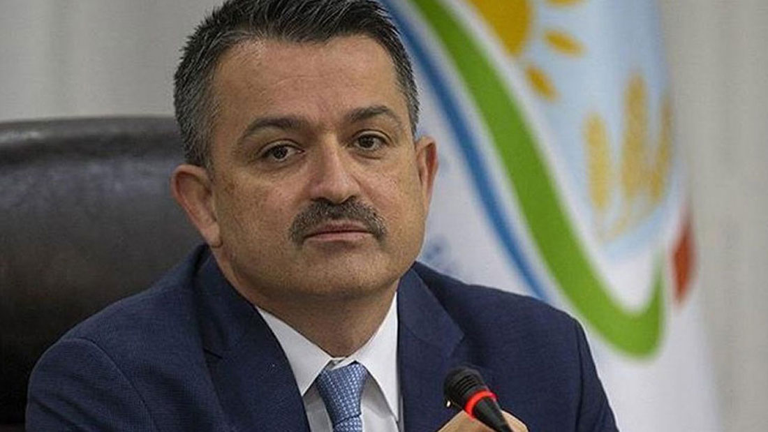 KPSS Yerleştirme Sonuçları Açıklandı