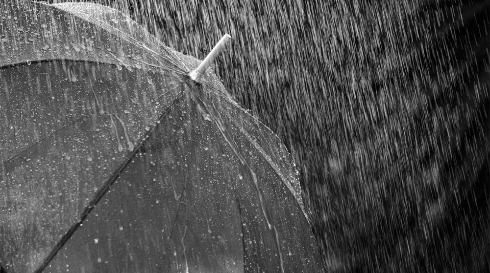 Türkiye'de en fazla görülen meteorolojik afet 'şiddetli yağış ve sel' oldu