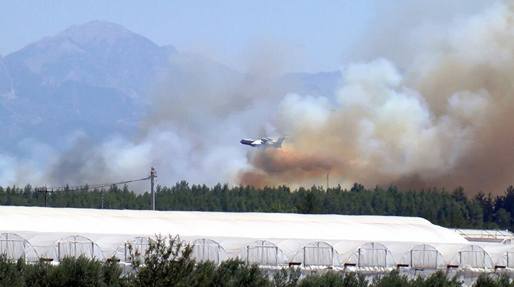 Antalya Aksu'da Orman Yangını