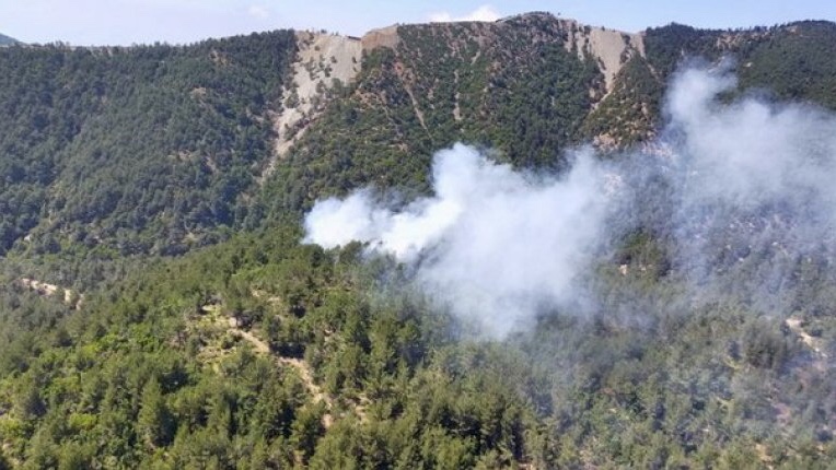 Hatay'da orman yangını
