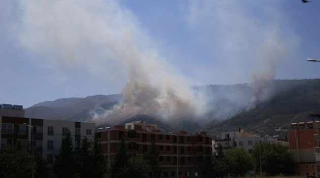 Hatay'da 4 farklı noktada orman yangını
