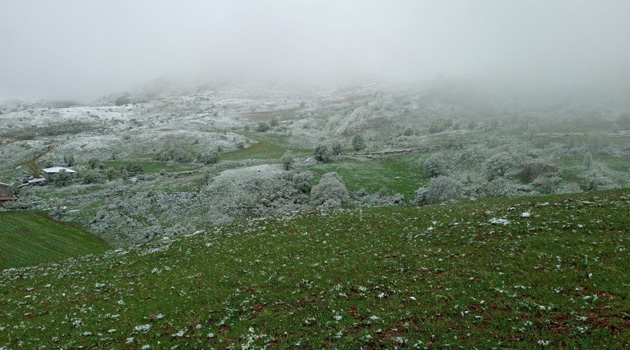 Sivas’ta Mayıs karı