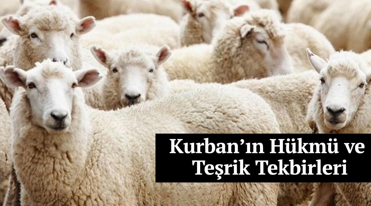 Kurban’ın Hükmü ve Teşrik Tekbirleri
