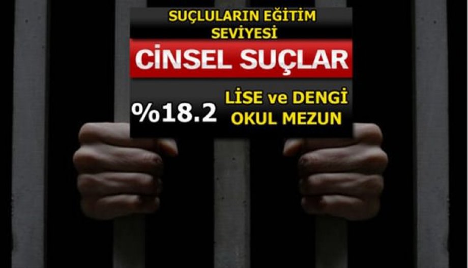 Suç Oranları Her Gün Artıyor! Peki En Çok Hangi Suçlar İşleniyor?