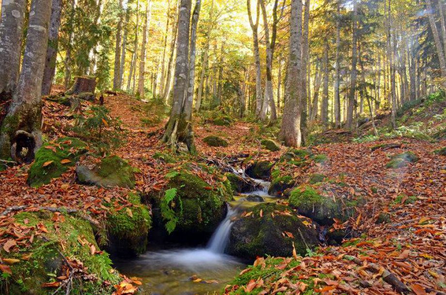 Karagöl'den Müthiş Sonbahar Manzaraları