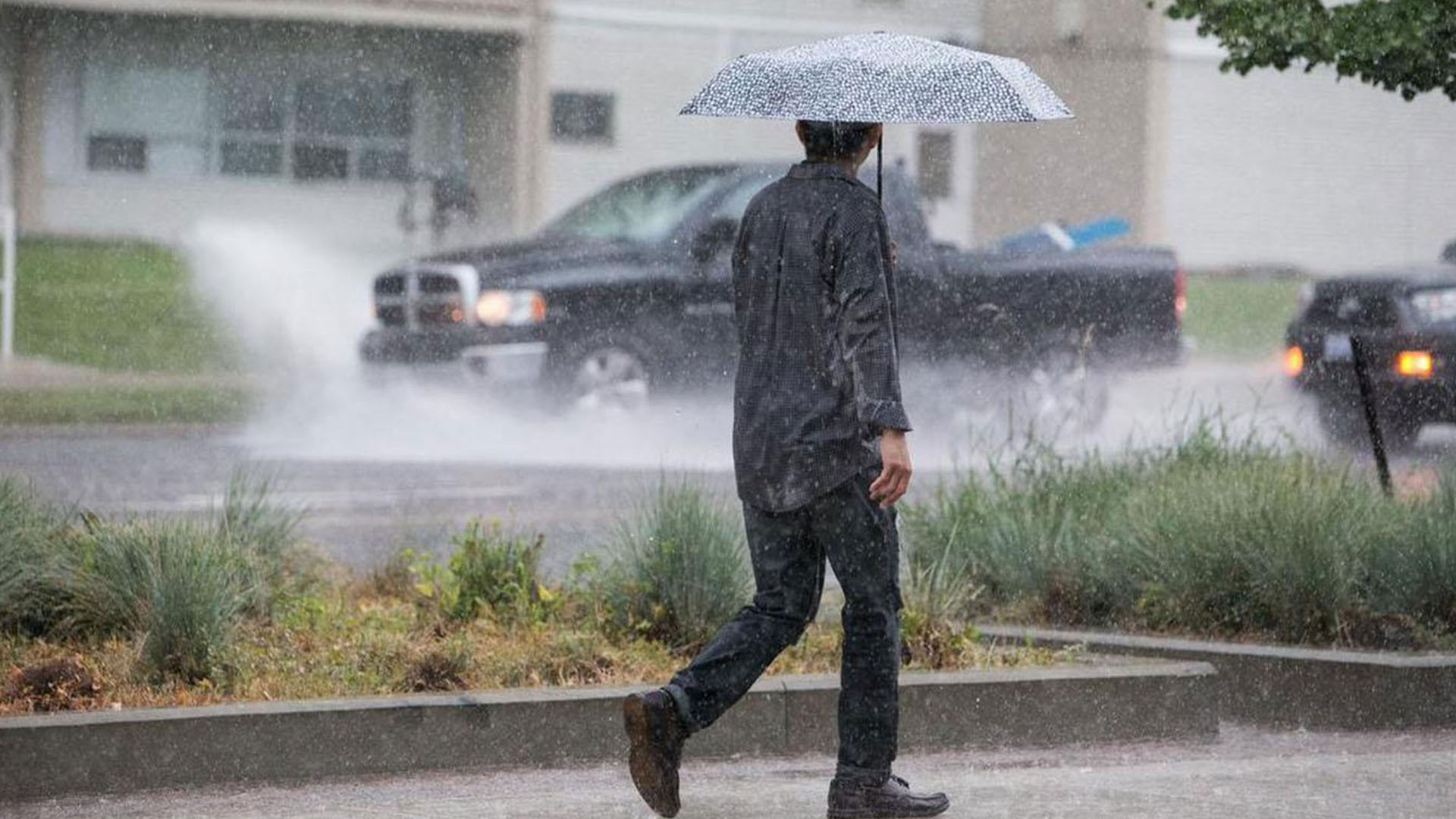 De rain. Дождь и ветер. Ветер дождь город. Грязные осадки. Heavy Rain weather.