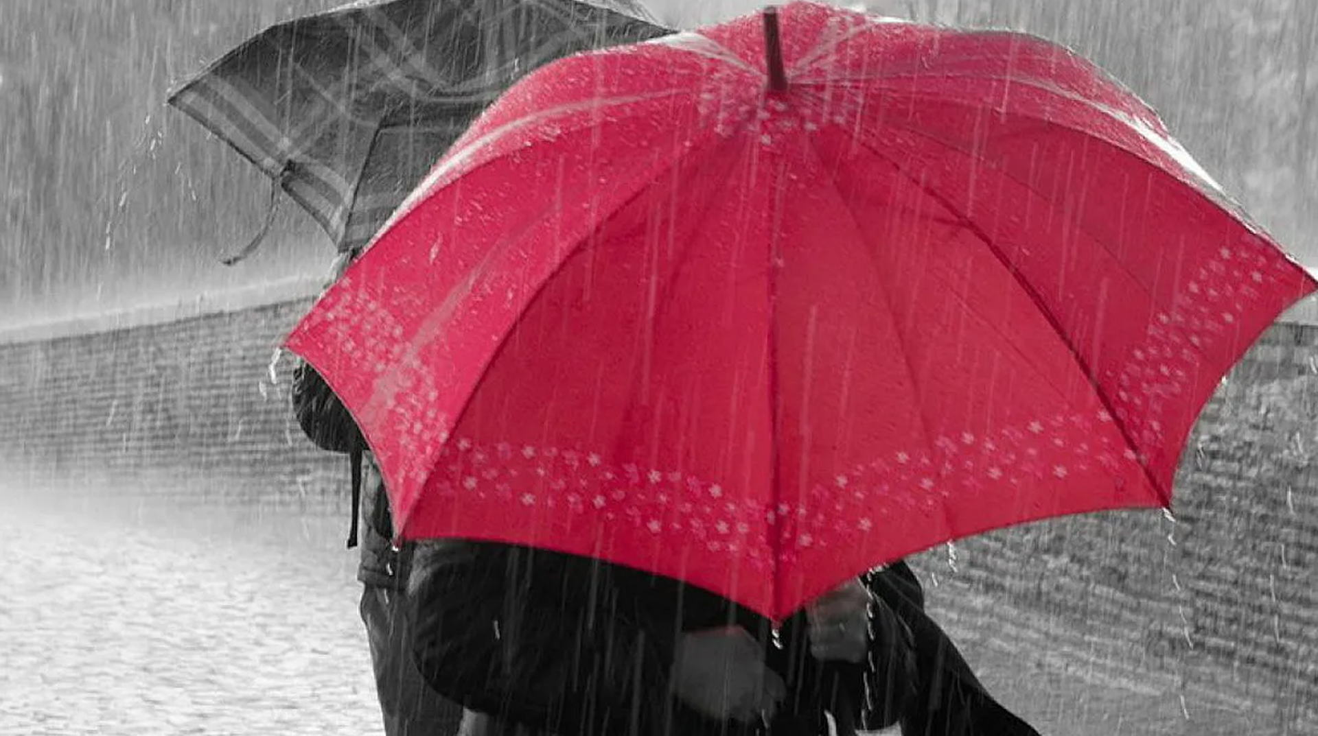 Под зонтиком песня. Дождь зонт. Зонт под дождем. Человек под зонтом. Человек под зонтиком.