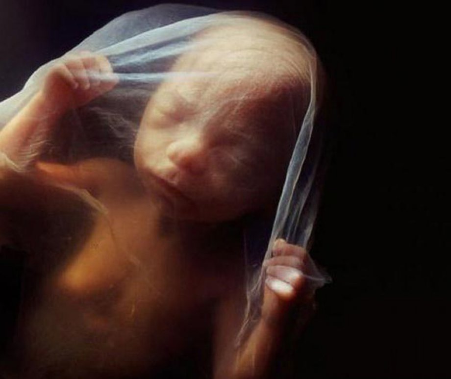 Bebeğin Anne Karnındaki Mucizevi Fotoğrafları