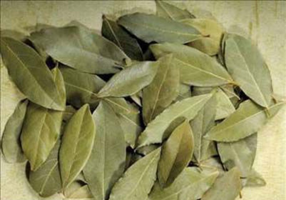 Defne Yaprağının Faydaları