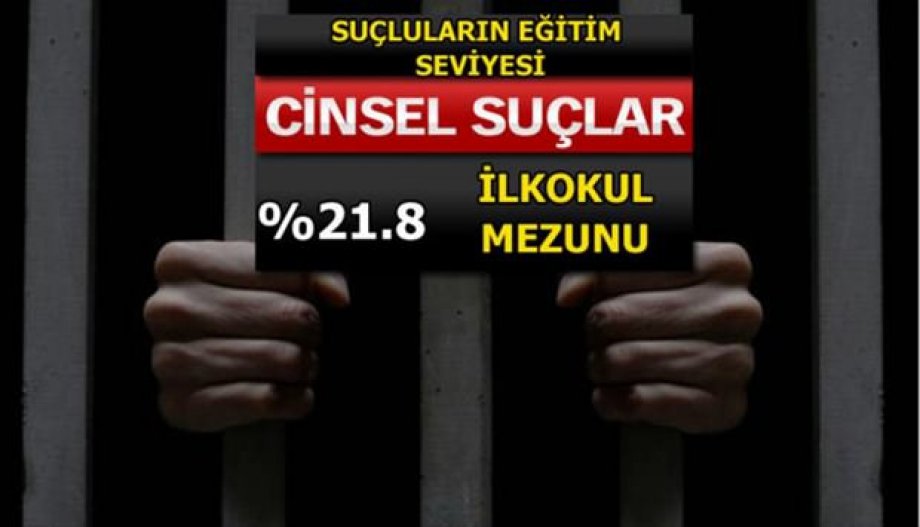 Suç Oranları Her Gün Artıyor! Peki En Çok Hangi Suçlar İşleniyor?