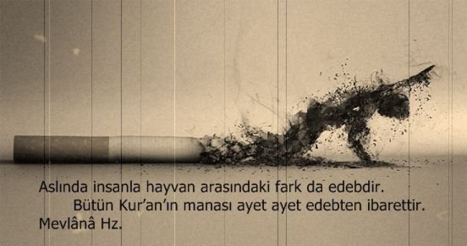İslam Alimlerinden Öğütler