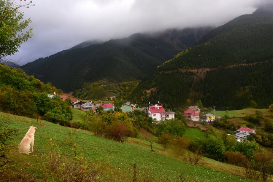 Tarihi İpek Yolu'nda Tefekkürlük Görüntüler