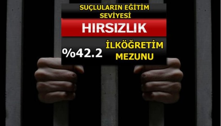 Suç Oranları Her Gün Artıyor! Peki En Çok Hangi Suçlar İşleniyor?