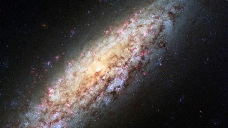 Bu görüntüleri gören Allahu Ekber demekle rahat bulur