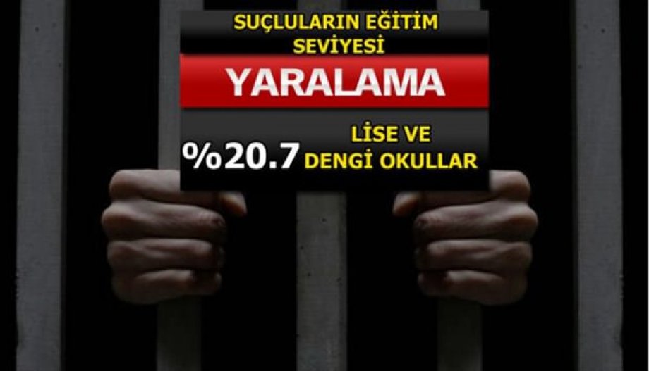 Suç Oranları Her Gün Artıyor! Peki En Çok Hangi Suçlar İşleniyor?