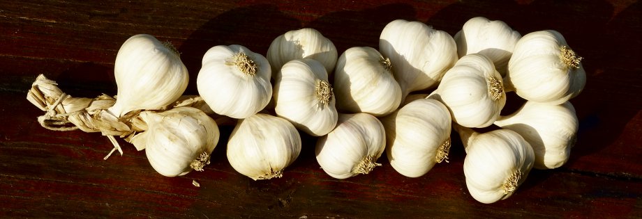 Peygamberimizin Bazı Bitkiler Hakkında Tavsiyeleri