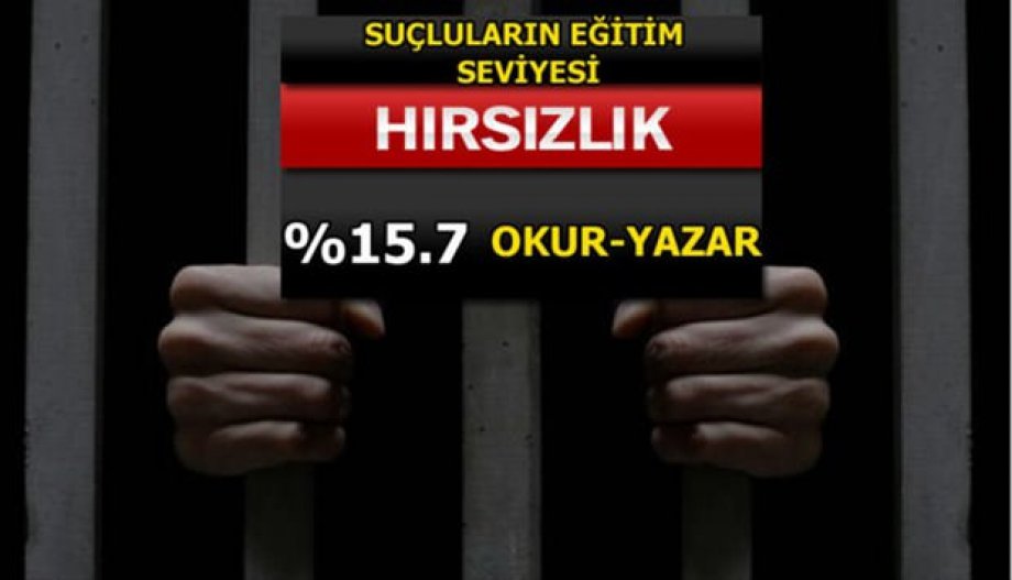 Suç Oranları Her Gün Artıyor! Peki En Çok Hangi Suçlar İşleniyor?