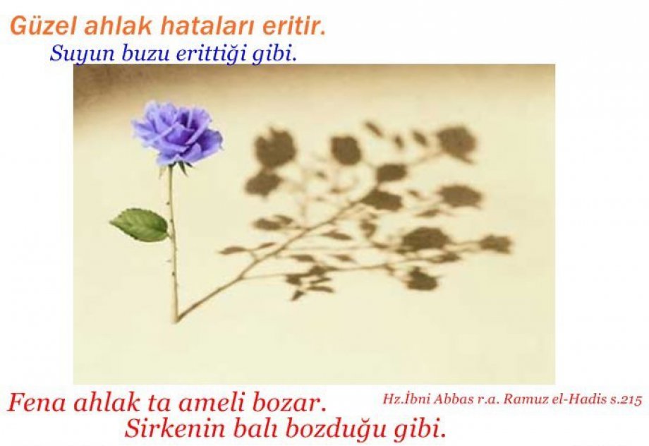 İslam Alimlerinden Öğütler