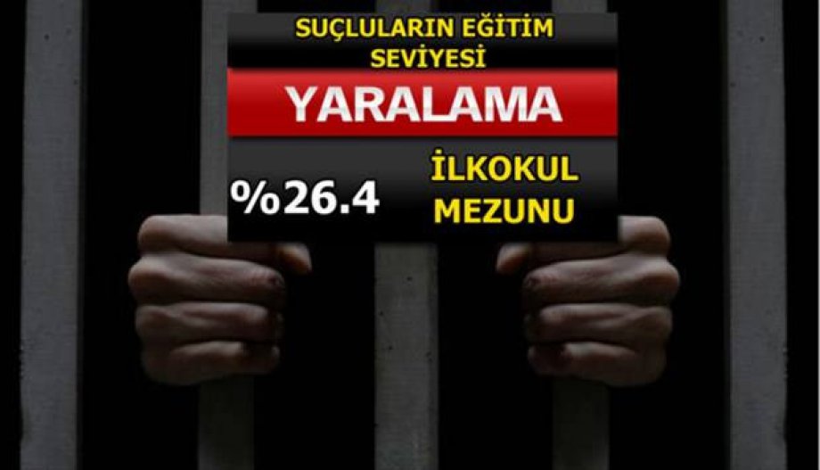 Suç Oranları Her Gün Artıyor! Peki En Çok Hangi Suçlar İşleniyor?