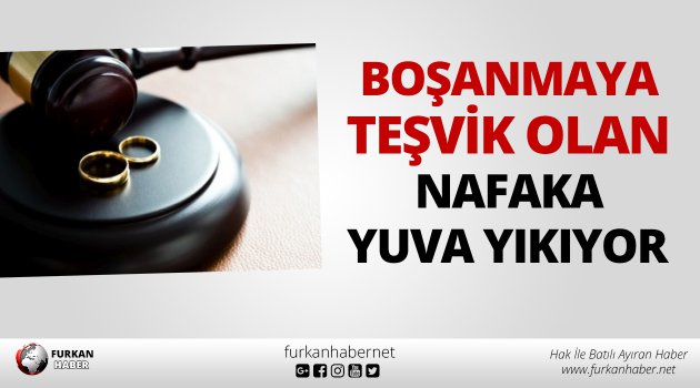 Anayasa Mahkemesinden Nafaka Karari Gelirden Yuksek Nafakayi Hak Ihlali Saydi
