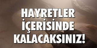 Hayretler İçerisinde Kalacaksınız!