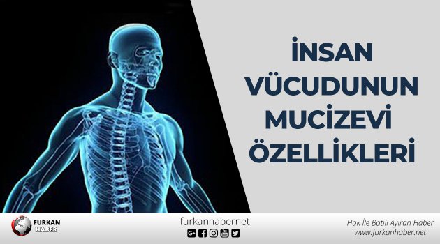 İnsan Vücudunun Mucizevi Özellikleri
