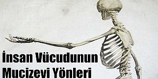 İnsan vücudunun mucizevi yönleri