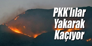 PKK&#39;lılar Yakarak Kaçtı