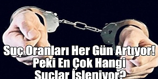 Suç Oranları Her Gün Artıyor! Peki En Çok Hangi Suçlar İşleniyor?