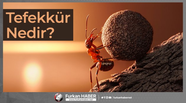 Tefekkür Nedir?