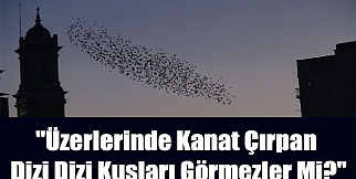 &#39;&#39;Üzerlerinde kanat çırpan dizi dizi kuşları görmezler mi?&#39;&#39;