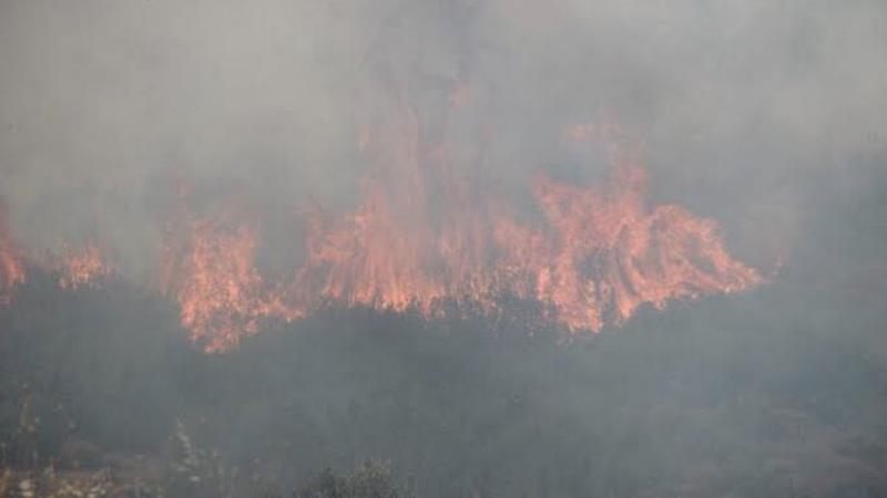 Tarım ve Orman Bakanı Pakdemirli’den, orman yangınları açıklaması
