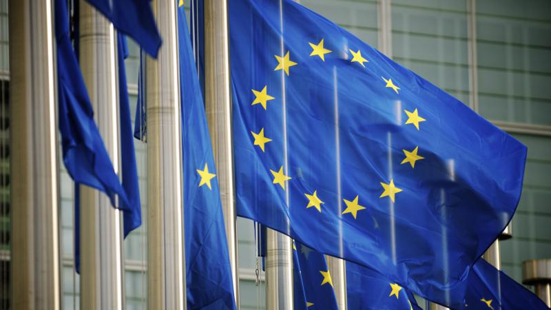 Avrupa Birliği, yeni insan hakları yaptırım rejimini karara bağladı