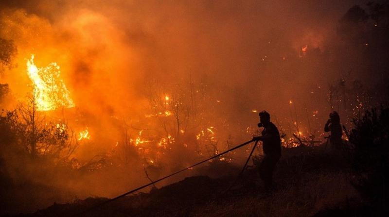 Yunanistan'da orman yangınları söndürülemiyor