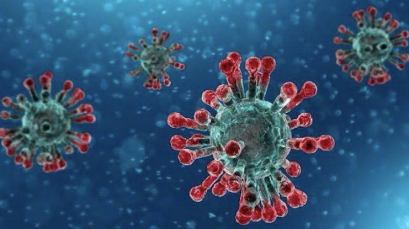 İsrail'de koronavirüs vaka sayısı 8 bini aştı