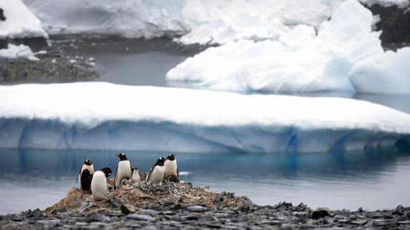 Antarktika’da sıcaklık 20 derecenin üzerine çıkarak rekor kırdı