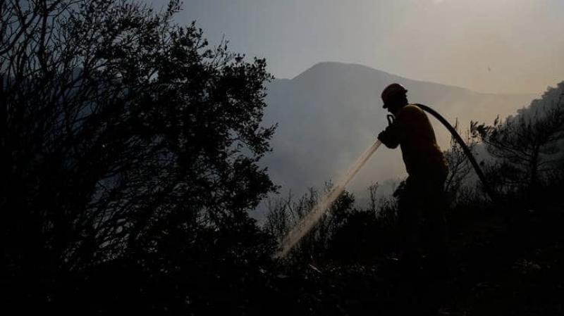 Bir günde 12 kentte 19 orman yangını