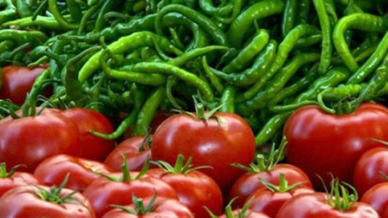 Rusya, Türkiye'nin iki şehrinden domates ve biber ithalatını yasakladı