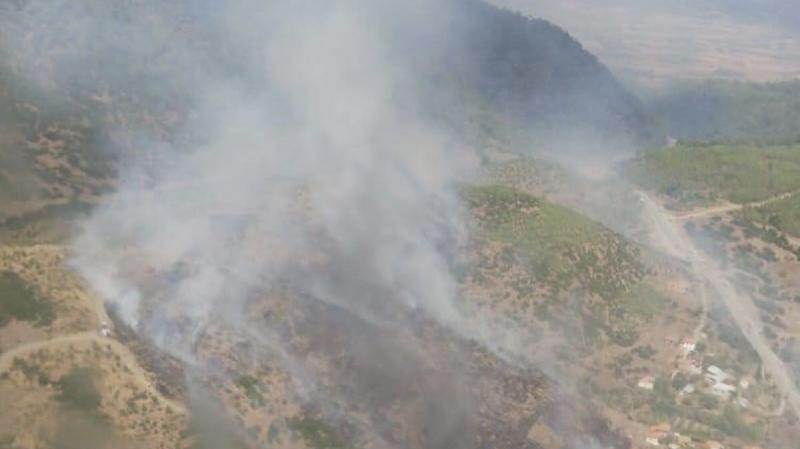 Muğla'da orman yangını! Yerleşim yerlerine yaklaşıyor