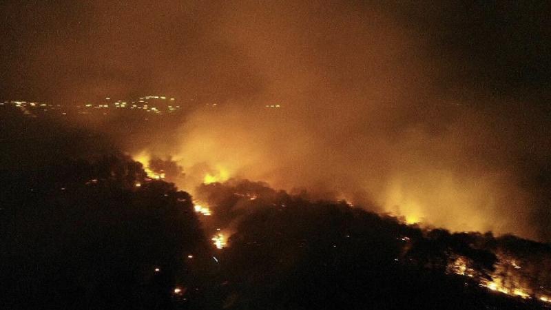 İstanbul Pendik'te orman yangını