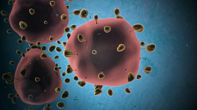 Koronavirüs Dünya'ya mı Yayılıyor? BAE'de de Tespit Edildi