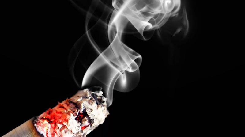 Nikotin, Bağışıklık Sistemini Saldırganlaştırıyor