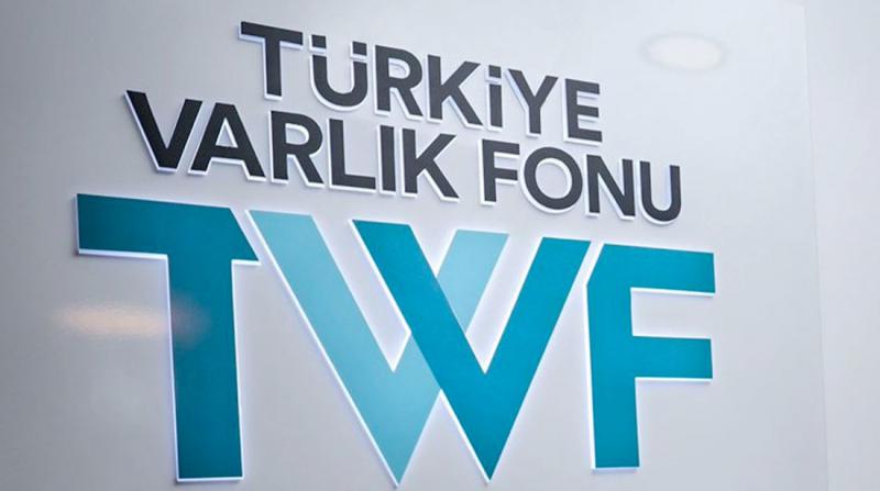 Türkiye Varlık Fonu Kamuya Ait Sigorta Şirketlerini Aldı