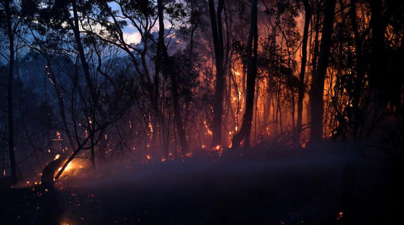 Avustralya'daki Orman Yangınları: 2 Ölü, 30 Yaralı, 7 Kayıp