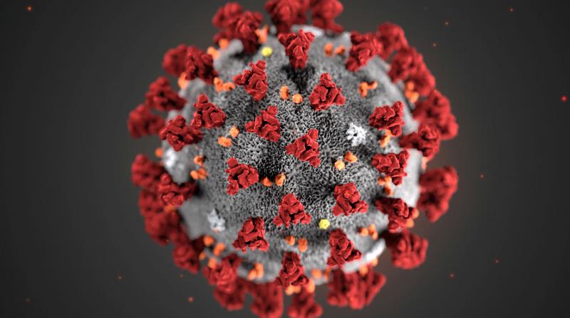 Kanada’da Corona Virüsü kaynaklı ilk can kaybı