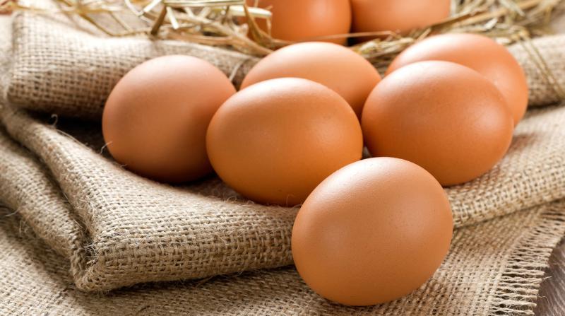 Yumurtanın Faydaları