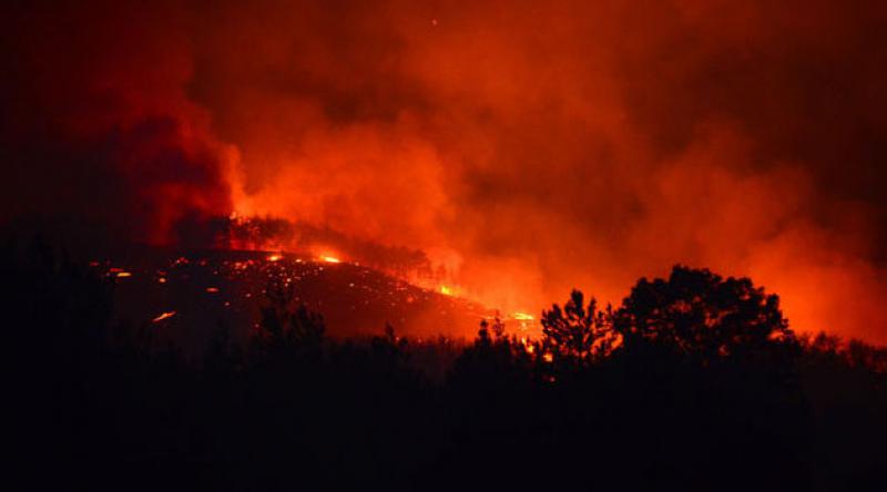 Adana'daki orman yangınında 200 hektardan fazla alan yandı, 6 köyde 800 hane boşaltıldı