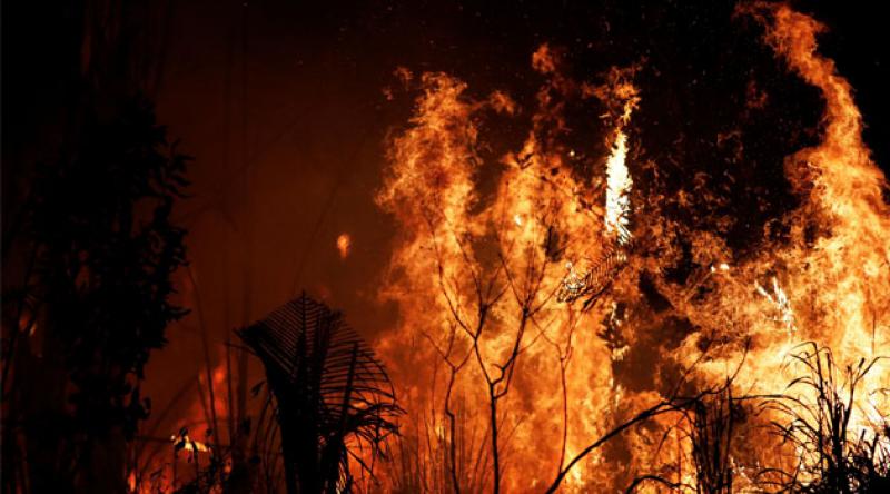 Amazon ormanları yanmaya devam ediyor